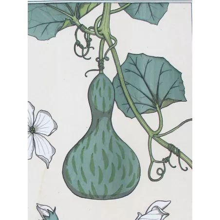 Gourd –  Eugène Grasset –  Original Art Nouveau Print