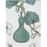 Eugène Grasset – Gourd (Plate 13), Original Lithograph from La Plante (1896)