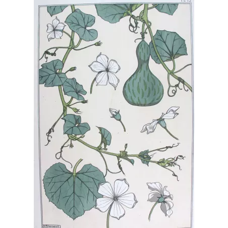 Gourd –  Eugène Grasset –  Original Art Nouveau Print