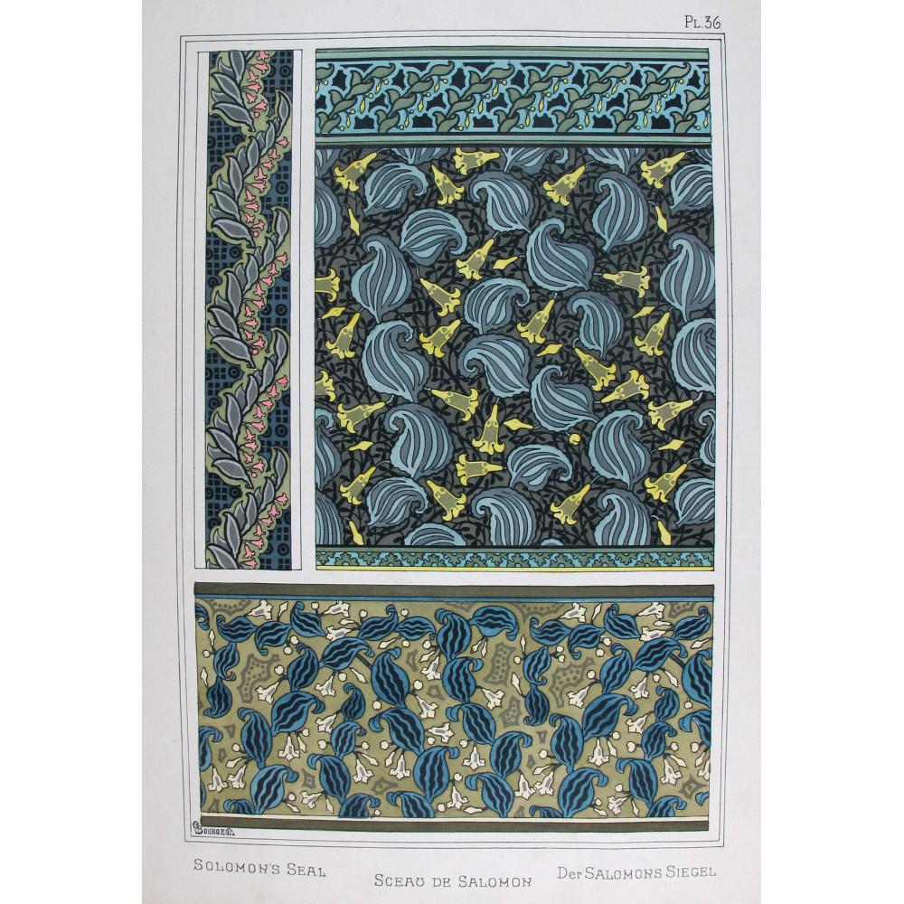Solomon’s Seal – Eugène Grasset (1896) | Rare Botanical Art Nouveau Lithograph Solomon’s Seal – Eugène Grasset (1896) | Rare Botanical Art Nouveau Lithograph