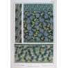 Eugène Grasset – Solomon’s Seal (Plate 36), Original Lithograph from La Plante (1896)
