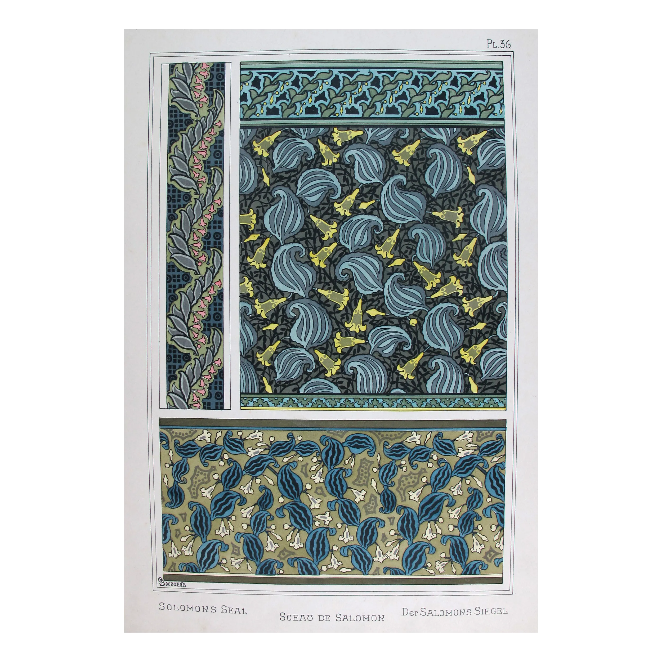 Solomon’s Seal –  E. Grasset –  Vintage Art Nouveau Prints