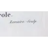 Azarole (*Mespilus azarolus*) / Néflier Azéole Original engraving by Pierre-Joseph Redouté (c.1801-1819)