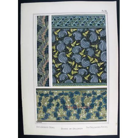 Solomon’s Seal –  E. Grasset –  Vintage Art Nouveau Prints