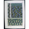 Eugène Grasset – Solomon’s Seal (Plate 36), Original Lithograph from La Plante (1896)