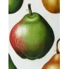 French Cultivated Pear Varieties (Pyrus communis) — Original Hand-Colored Engraving by Pancrace Bessa, c.1801–1819