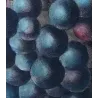 Grape vine, Chasselas noir (*Vitis vinifera*), Antique botanical print by Bessa  (c.1801-1819)