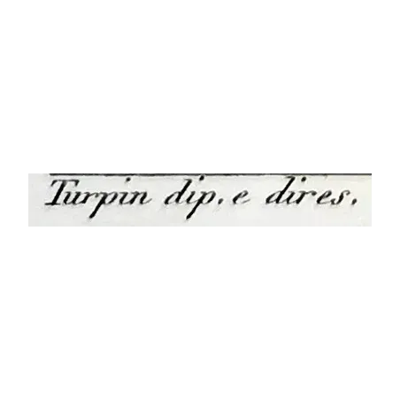 Antique Botanical Print – Pierre Jean François Turpin – Egyptian Caper