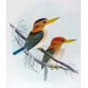 Yellow-billed Kingfisher (*Syma flavirostris*) – Original lithograph by Roland Green, Mathews (1910–27)