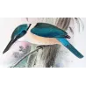 Sacred Kingfisher (*Sauropatis sancta*) – Original lithograph by Roland Green, Mathews (1910–27)