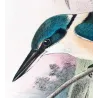 Sacred Kingfisher (*Sauropatis sancta*) – Original lithograph by Roland Green, Mathews (1910–27)