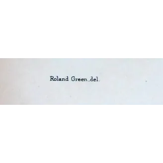 White-throated Nightjar by Roland Green – Birds of Australia