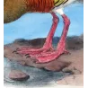 Plumed Whistling Duck (*Dendrocygna eytoni*) – Original lithograph by H. Goodchild, Mathews (1910–27)