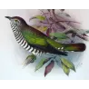 Bronze Cuckoo (*Lamprococcyx plagosus*) – Original lithograph by Henrik Grønvold, Mathews (1910–27)