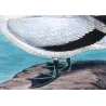 Australian Gannet (*Sula Serrator*) – Original lithograph by H. Grönvold, Mathews (1910–27)