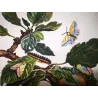 Gypsy Moth (*Lymantria dispar*) on Apple Tree (*Malus*) – Original hand-colored engraving by Jacob L’Admiral (1774)