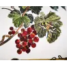 Magpie Moth (*Abraxas grossulariata*) on Currant (*Ribes*) – Original hand-colored engraving by Jacob L’Admiral (1774)