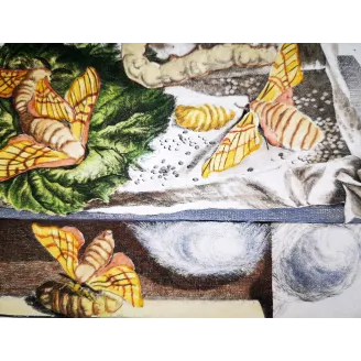 Antique Entomology Print – Jacob L’Admiral – Silkworm