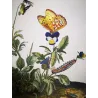Lesser Marbled Fritillary (*Brenthis Ino*) on Wild Pansy (*Viola Tricolor*) Hand-colored engraving by Jacob L'Admiral (1774)