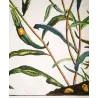 Wall Brown (*Lasiommata megera*) Hand-colored engraving by Jacob L'Admiral (1774)