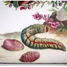 Grass Eggar (*Lesiocampa Trifolii*) Hand-colored engraving by Jacob L'Admiral (1774)