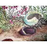 Grass Eggar (*Lesiocampa Trifolii*) Hand-colored engraving by Jacob L'Admiral (1774)