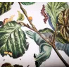 Nut-tree Tussock (*Colocasia coryli*) on Hazel (*Corylus Avellana*) Hand-colored engraving by Jacob L'Admiral (1774)