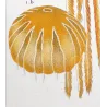 Moon Jellyfish (*Aurelia crenulata*) Elegant Jellyfish Anatomy Pretre (c1835)