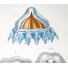 Cube Jellyfish (*Carybdea*), Forcinia & Eulimene (Jellyfish Study) Pretre (c1835)