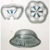 Cube Jellyfish (*Carybdea*), Forcinia & Eulimene (Jellyfish Study) Pretre (c1835)