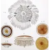 Blue Botton Jellyfish (*Porpita Porpita*) (* Porpita glandifera*) Pretre (c1835)