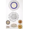 Blue Botton Jellyfish (*Porpita Porpita*) (* Porpita glandifera*) Pretre (c1835)