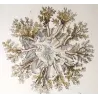 Cassiopea (*Cotylorhiza tuberculata*) , Melicerta (*Melicetum sensu-*)  Obelia Jellyfish Pretre (c1835)