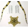 Brittle Star (*Ophiura annulosa*)  | Ofiura | Starfish Pretre (c1835)