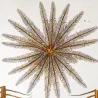 Featherstar  (*Crinoids*) | (*Comatula Solaris*) Pretre (c1835)