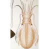Banks Squid (*Loligo banksii*) Original hand-colored engraving by Prêtre (c.1835)