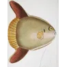 Ocean Sunfish (Mola mola)  Original hand-colored engraving by Pierre Antoine Prêtre, Antique Print
