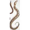 Serpent Eel, Blind Eel (*Ophisurus serpemarina, Atteritto cieco*)  Original hand-colored engraving by Prêtre, Antique Print
