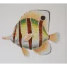Longnose Butterflyfish, Vagabond Butterflyfish (*Chelmon rostratus, Chaetodon vagabundus*)  Original hand-color Antique Print
