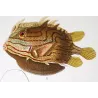 Longhorn Cowfish, Yellow Boxfish (*Lactoria cornuta, Ostracion cubicus*) Original hand-color engraving by Prêtre, Antique Print