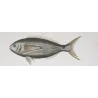 Peacock Wrasse and Boga  Labrus pavo  Engraving by Pierre Antoine Pretre
