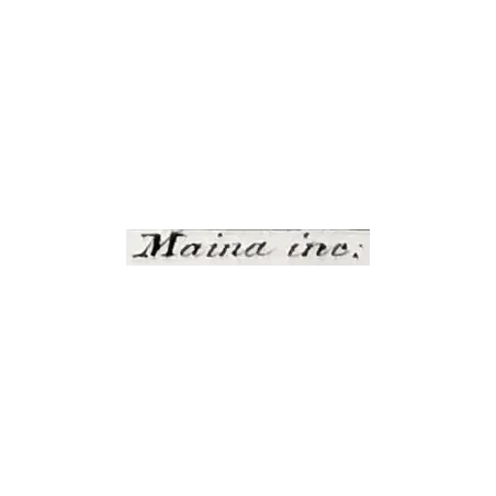 Antique Marine Engraving – Pierre Antoine Prêtre – Brown Ray