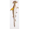 Hammerhead Shark and Smoothhound (Sphyrna zygaena, Mustelus mustelus)   Original hand-colored Antique Print  Prêtre