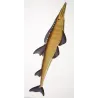 Smooth Guitarfish (Rhinobatus rhinobatus)  Original hand-colored engraving by Pierre Antoine Prêtre, Antique Print
