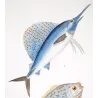 Sailfish and Anna-Carolina Moonfish (Istiophorus albicans, Mene maculata)  Original hand-colored Antique Print by Prêtre