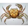 Grapso penicillato (*Grapsus penicillatus*)  Original hand-colored engraving by Pierre Antoine Prêtre, Antique Print