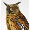 Eagle Owl and Tawny Owl (*Bubo bubo*) and (*Strix aluco*) Original hand-colored Antique Print by Prêtre (c.1835)