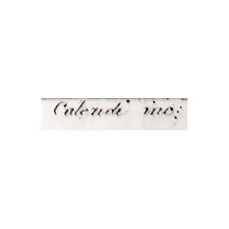 Antique Bird Engraving – Pierre Antoine Prêtre – Sacred Ibis and Curlew