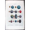 Portfolio of Four Prunus domestica Engravings – Pancrace Bessa (c.1801–1819)