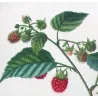 Portfolio of Three Rubus Engravings (Raspberry & Bramble) — Pancrace Bessa, c.1801–1819
